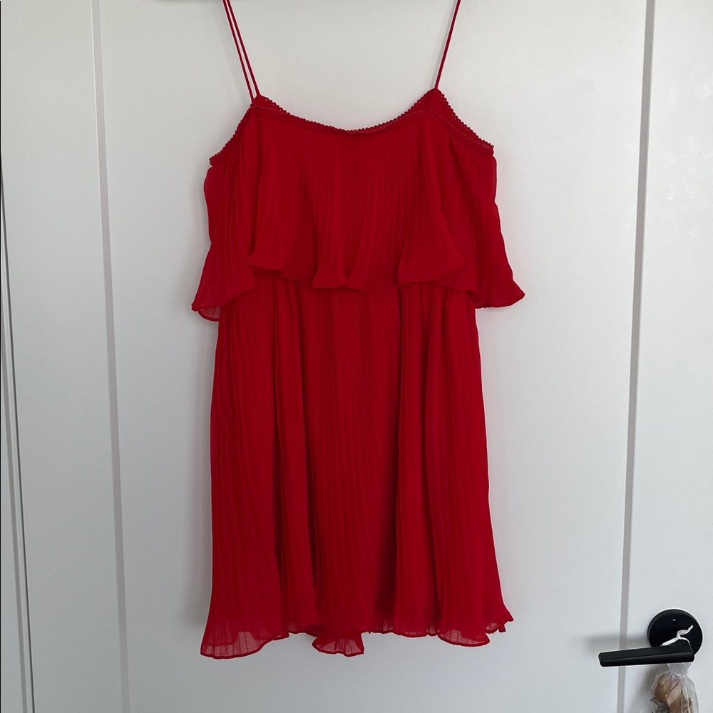 Zara Pleated Ruffle Dress - Picture 6 of 6